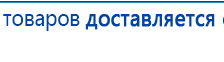 СКЭНАР-1-НТ (исполнение 02.1) Скэнар Про Плюс купить в Находке, Аппараты Скэнар купить в Находке, Дэнас официальный сайт denasolm.ru
