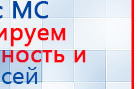 СКЭНАР-1-НТ (исполнение 02.2) Скэнар Оптима купить в Находке, Аппараты Скэнар купить в Находке, Дэнас официальный сайт denasolm.ru